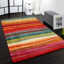   2773 - MULTICOLOR -  ORION 