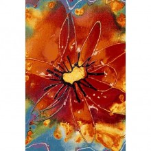   2910 - MULTICOLOR -  ORION 