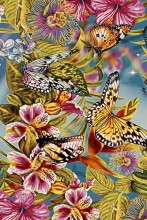  C015 - MULTICOLOR -  ORION 