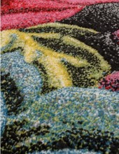  C075 - MULTICOLOR -  -  RIO 