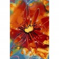   2910 - MULTICOLOR -  ORION 