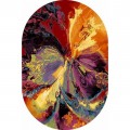   2927 - MULTICOLOR -  ORION  