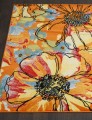  C045 - ORANGE -  -  ORION 