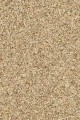   S600 - MULTICOLOR -  SHAGGY ULTRA 